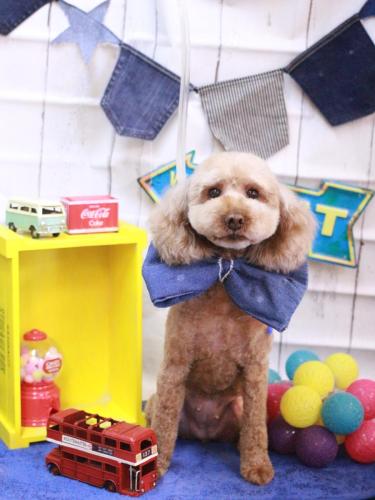 20230402モモちゃん